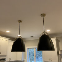 Nikki Single Light Metal Steel Dimmable Pendant & Reviews